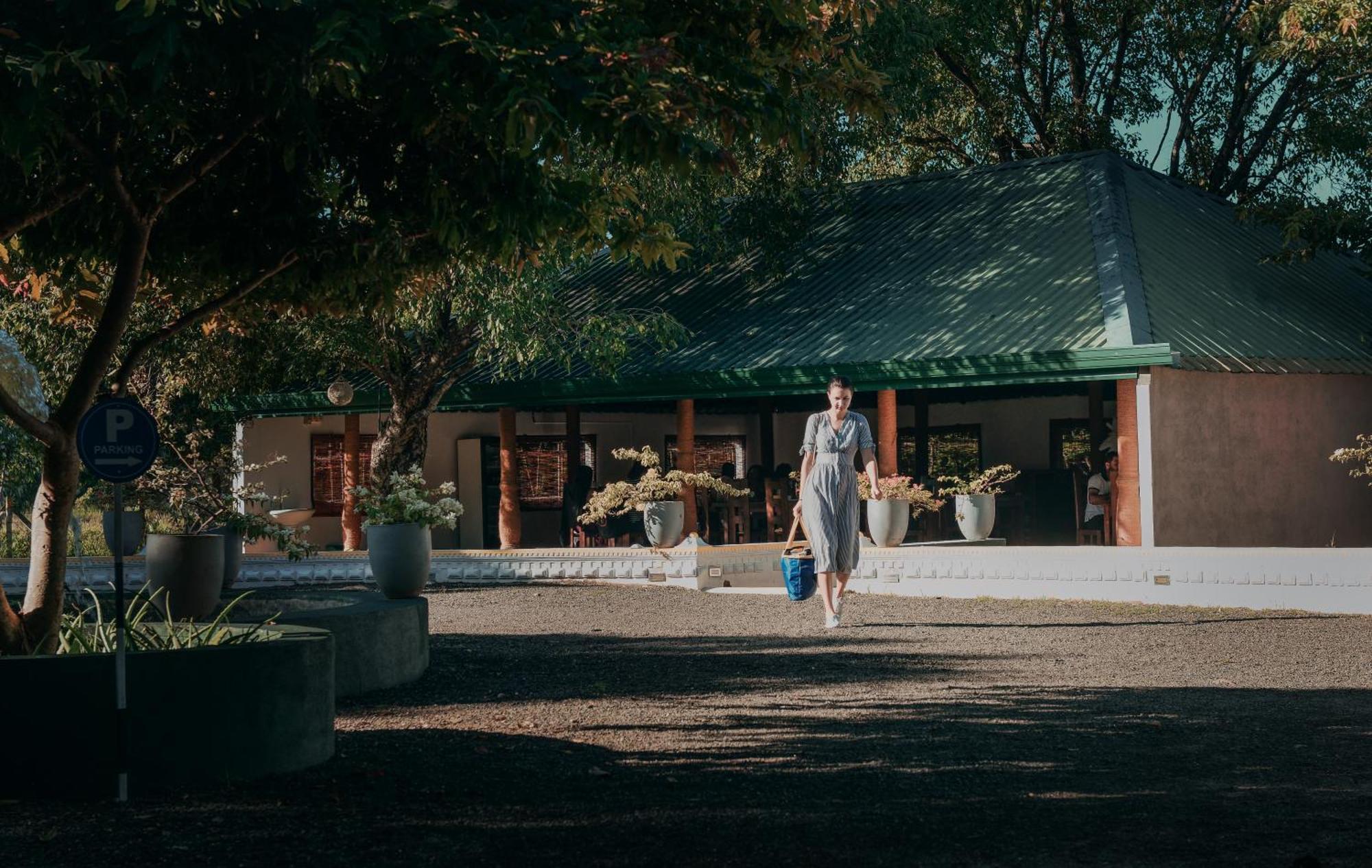 Hotel Golden Ray Dambulla Zewnętrze zdjęcie